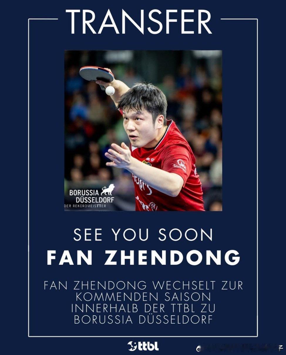 TTBL：🔥突发新闻🔥转会最新消息——樊振东将在下赛季继续征战德甲乒乓球甲级
