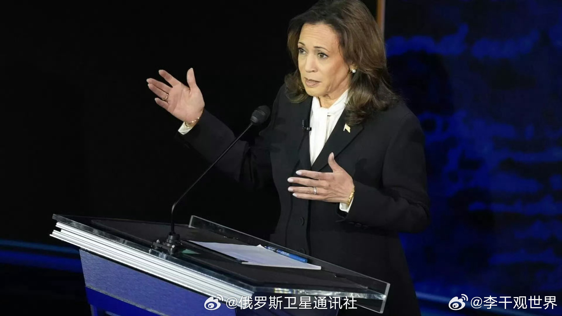 【美民主党全国委员会发布报告剖析哈里斯2024年大选失利原因】美民主党全国委员会