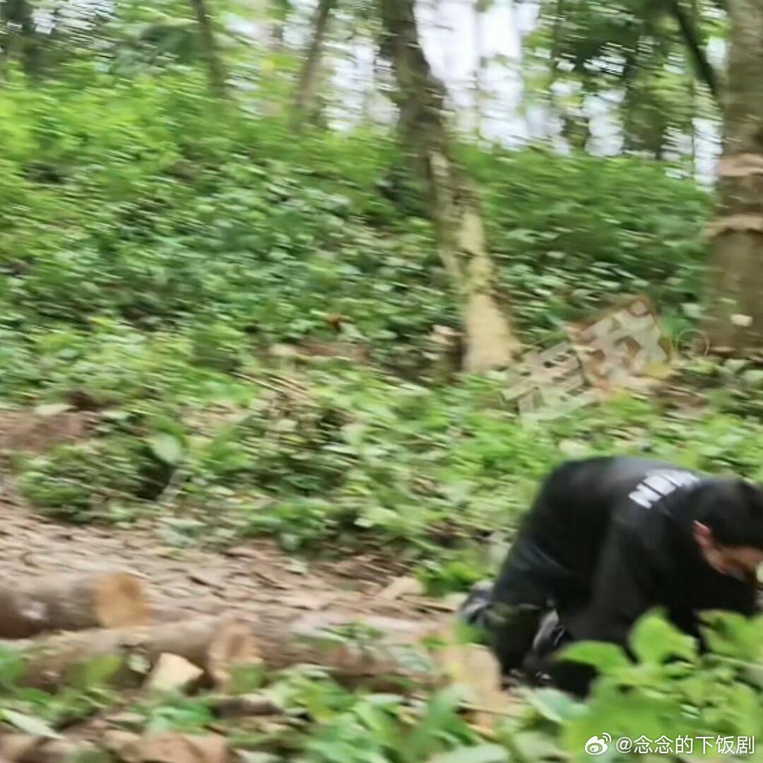 十个勤天你们两个是真好笑啊十个勤天‖种地吧‖ 