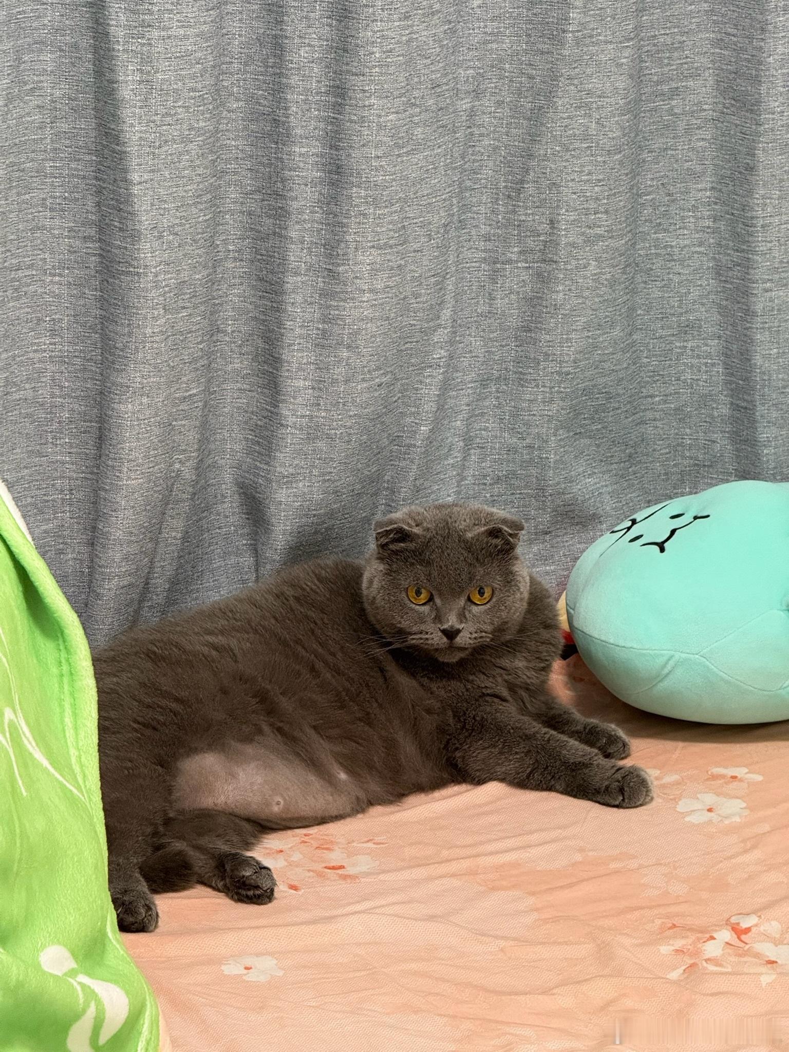 给大家看看最近的Tina🐱 