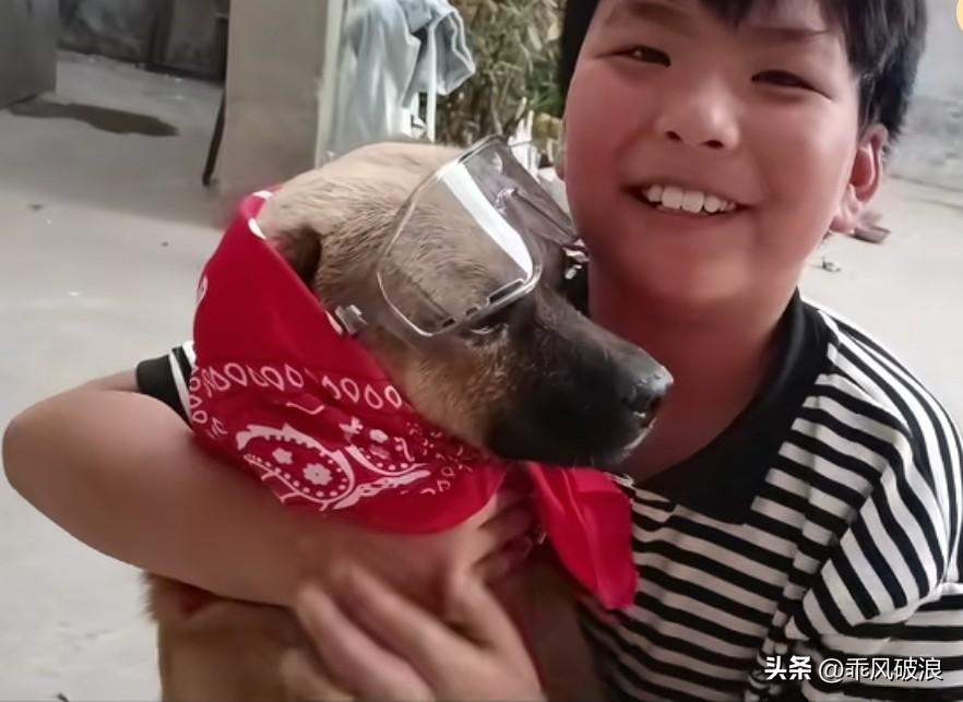 小主人抱着狗狗说道：它是我家食量最大的一个，也是最清闲的一个，更是让我陪伴最多的