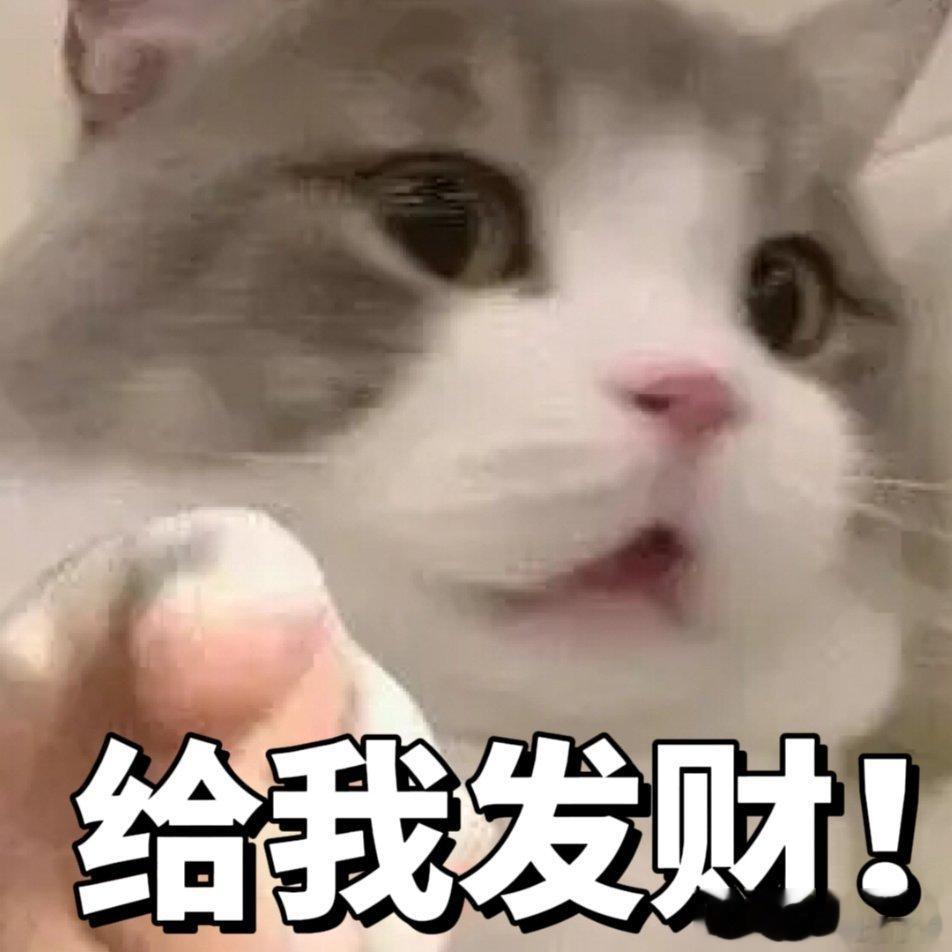 被指到的人今年给我发财！ ​​​