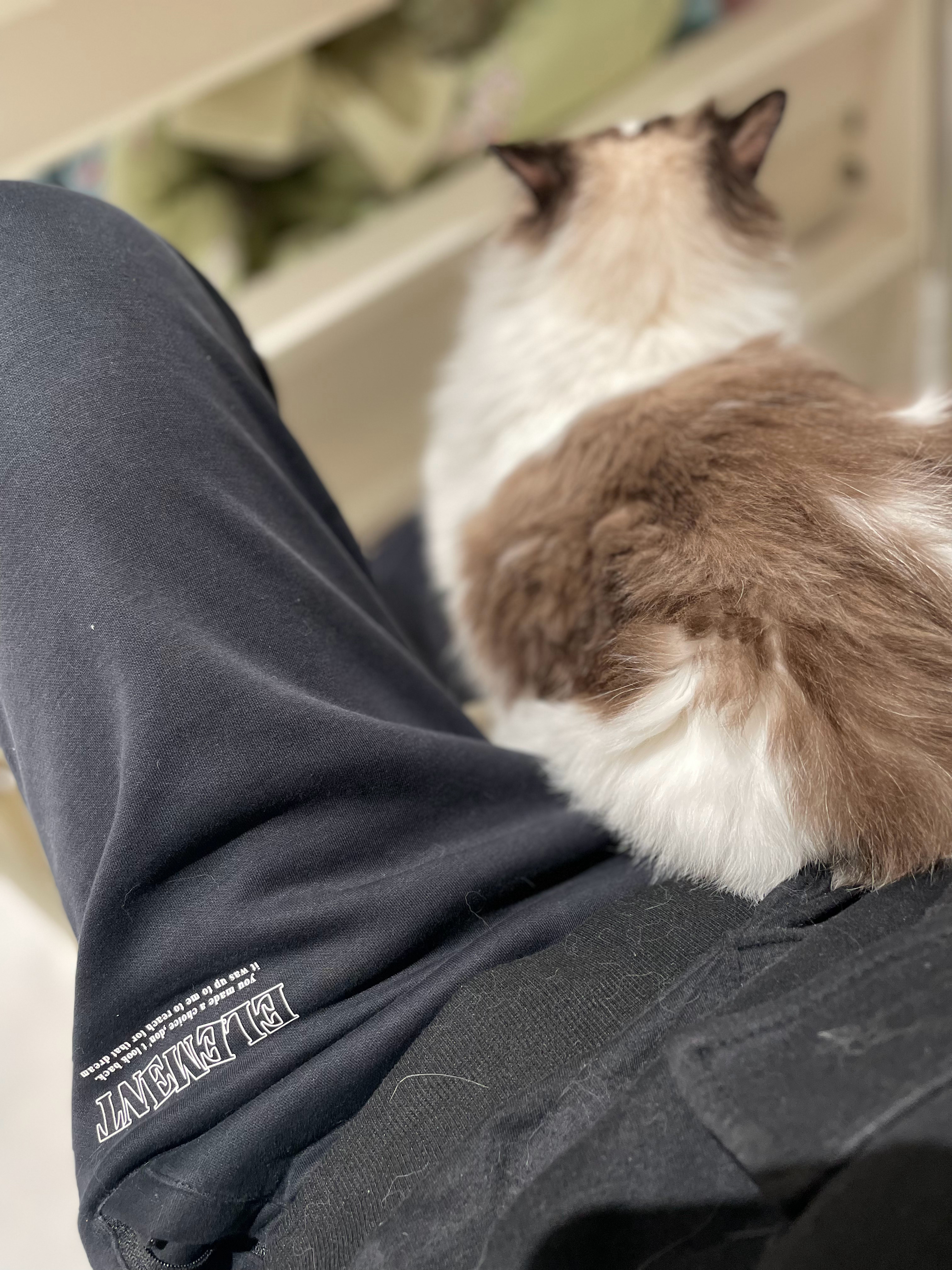 粘人精的日常趴胸口 窝怀里 爬大腿好吧 我的愿望你倒是全达成了 