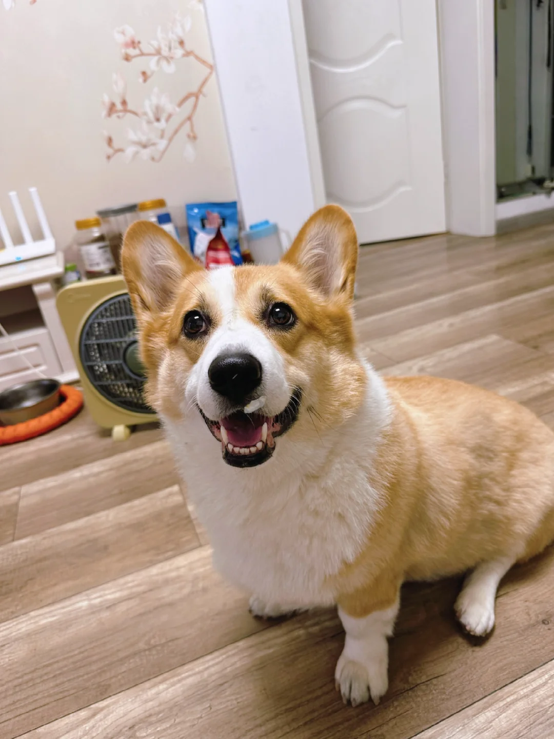 两天没见，换国籍了