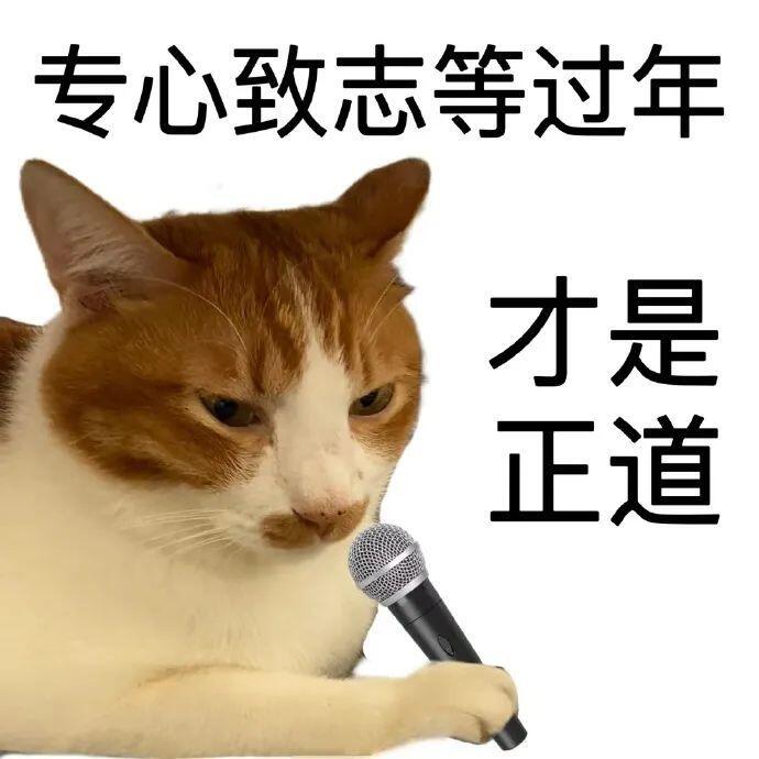 猫说得对！！专心致志等过年才是正道，现在正式进入年后再说阶段[闭嘴] 