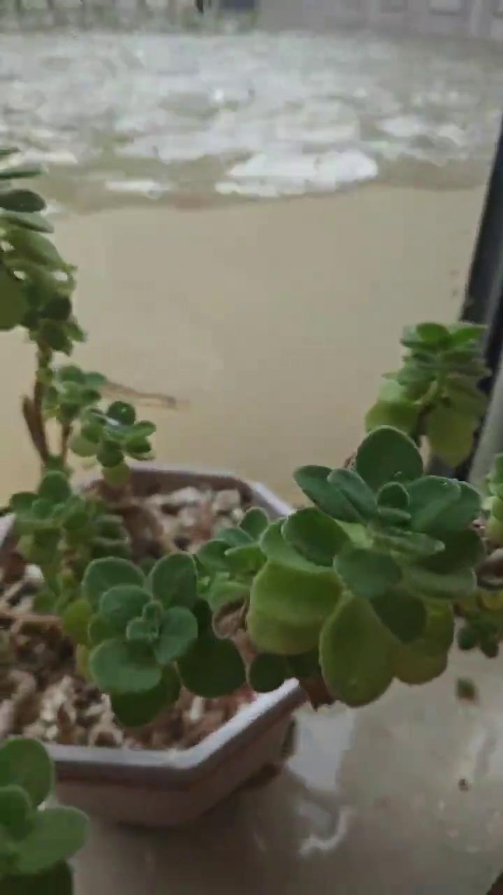 这还有条鱼，太气人了，这鱼，看看那油。