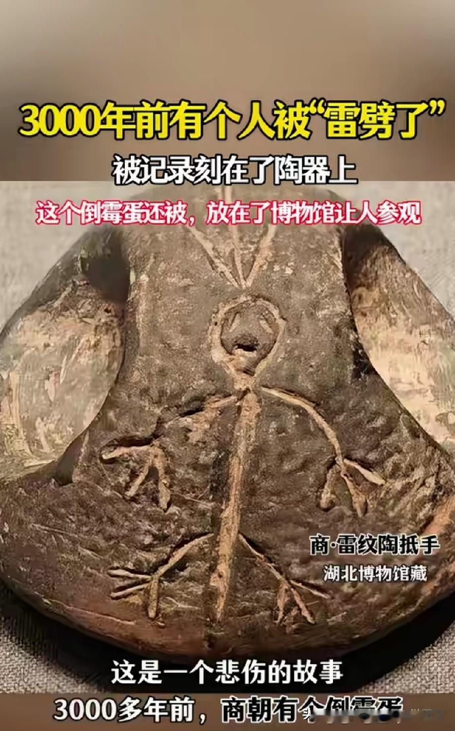 有尾巴，才3千年吗？