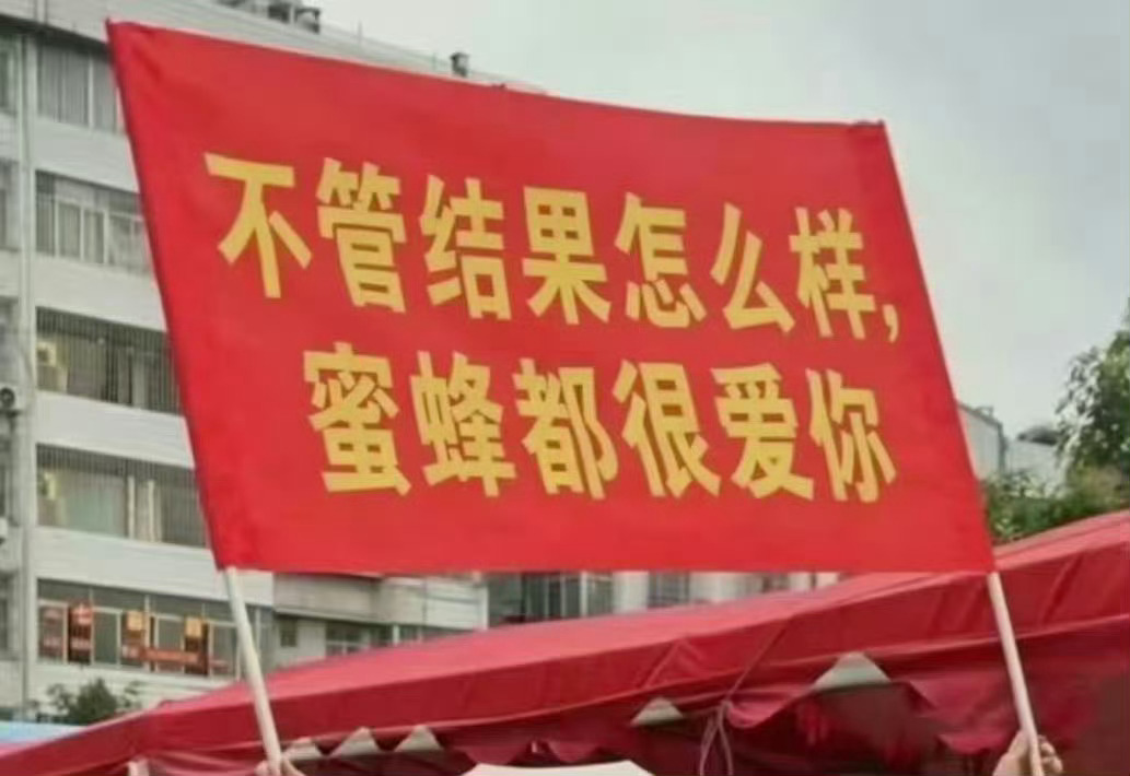 杨幂全肯定全世界最好的姐宝最好的演员