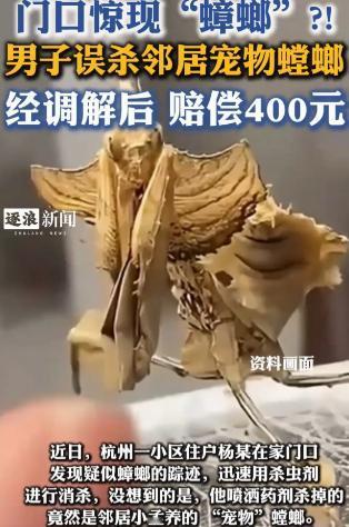 “真是冤枉！”浙江一位男子发现家门前有虫子，顺手喷了点杀虫剂，没想到，邻居却上门