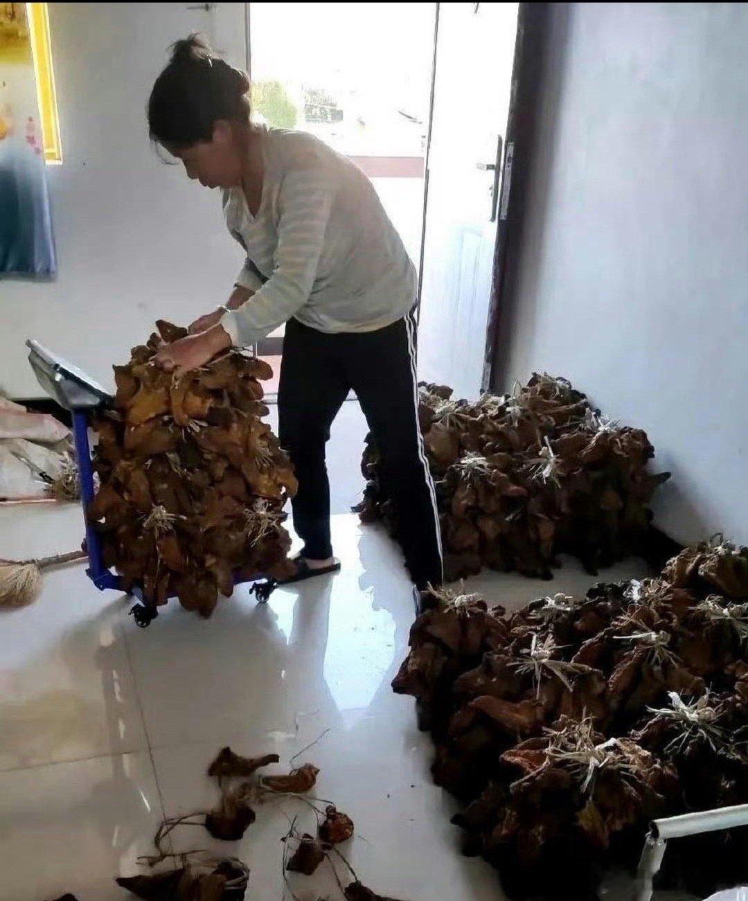 这才是真正的大户人家，太让人羡慕了 
