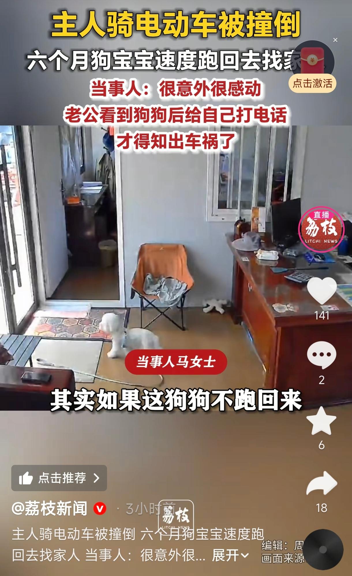 山东济南，一女子骑电动车带着自家6个月大的狗宝宝外出，在一个路口不幸被一辆三轮车