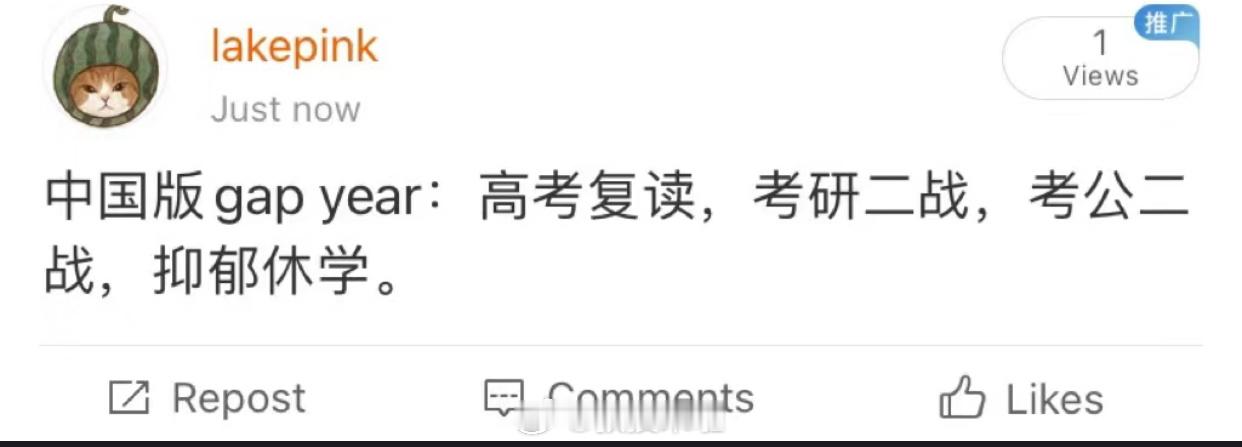 哈哈哈哈哈哈哈哈哈哈哈哈中国版gap year ​​​