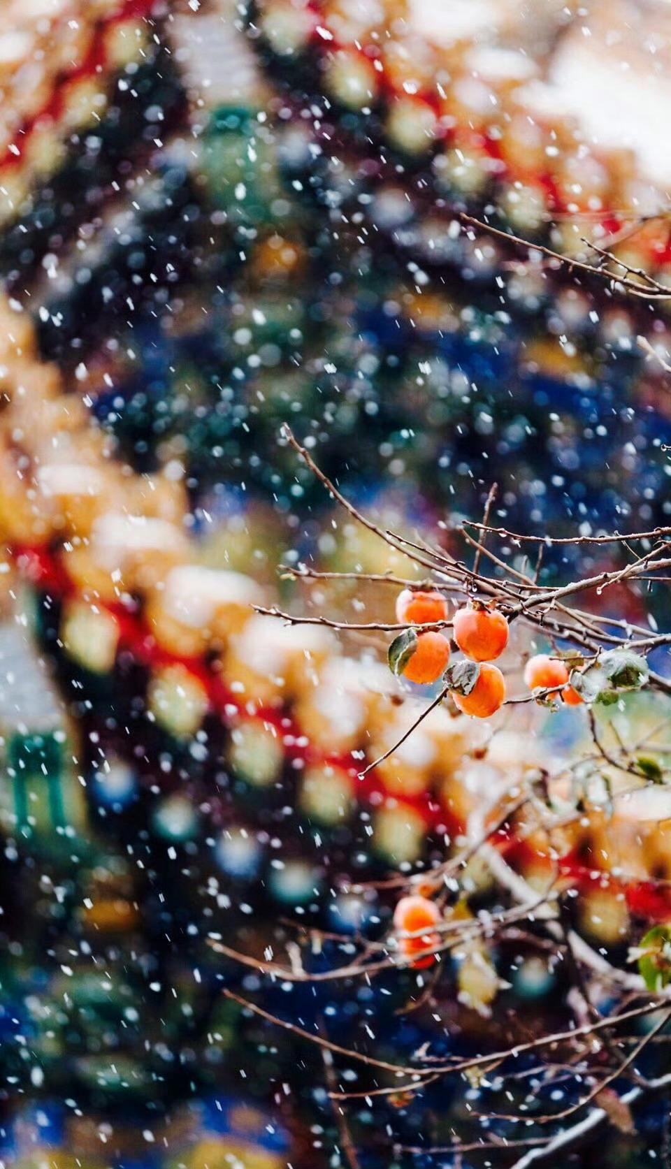 北京下雪了 一夜之间，北京回到了北平。雪后的北京美如花～想念北京的雪，北平的人[