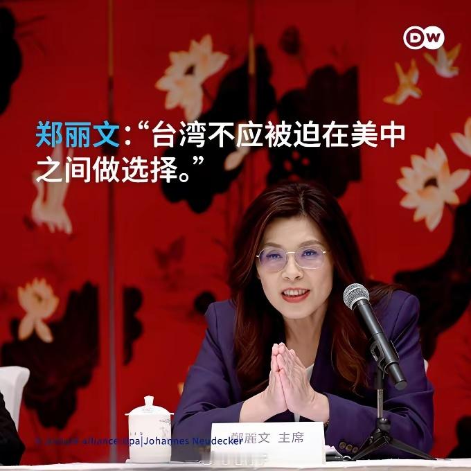 台海最新动态 郑丽文访美：一场注定尴尬的“平衡术”！！国民党主席郑丽文计划6月访