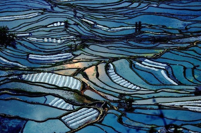 元阳梯田，一眼千年![心]~哈尼族人1300多年来生生不息地“雕刻”的山水田园风