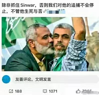 #妙笔生花创作挑战# 哈粉总说辛瓦尔和哈尼亚反美斗士，为啥他们行着欧美国家的礼仪