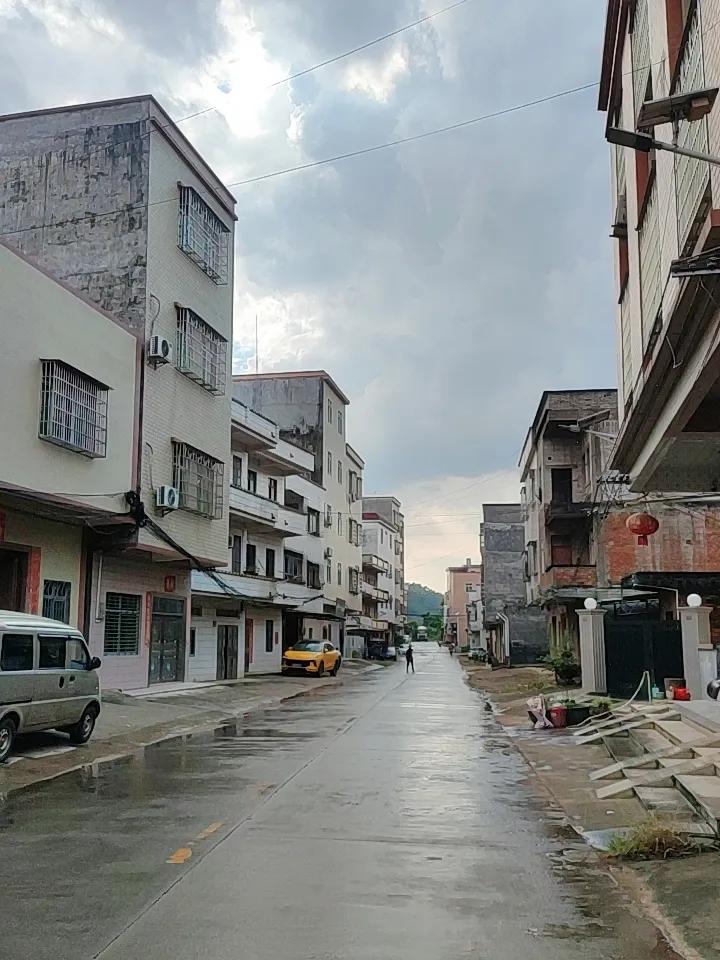 上周雨后跟着家里长辈去霍家湾巡田，随手拍的图发朋友圈直接炸出二十多个人问地址。