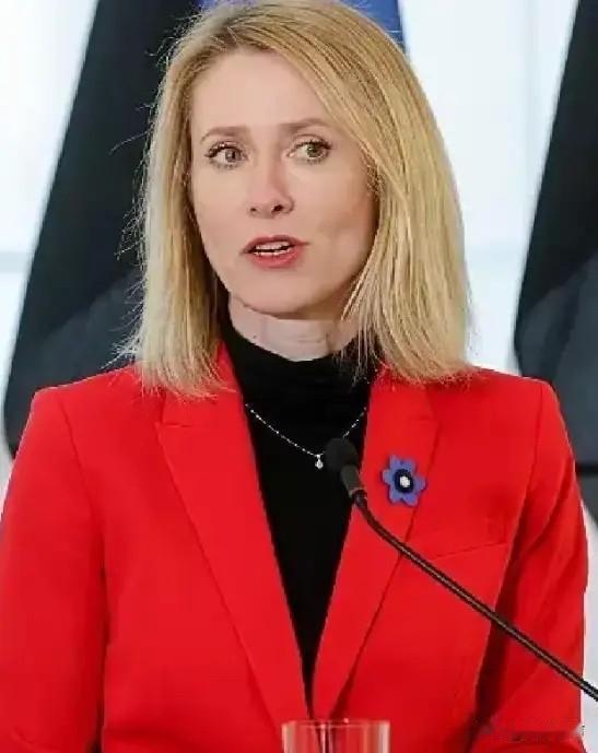 欧盟这扇门，突然焊死了！

4月27日，欧盟正式打响“清算战”，只要在乌参战过，