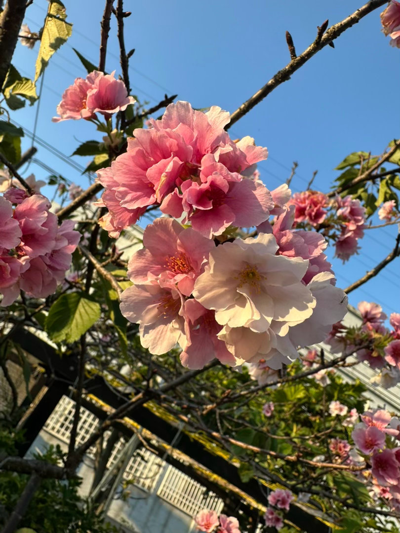 阳光信用  阳光信用 互动打卡 无论发生什么也不畏惧——这是幸福的根本。不管遇到