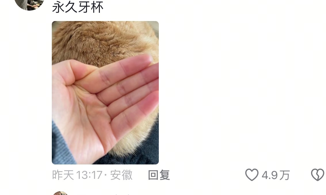 我也是～我就用手