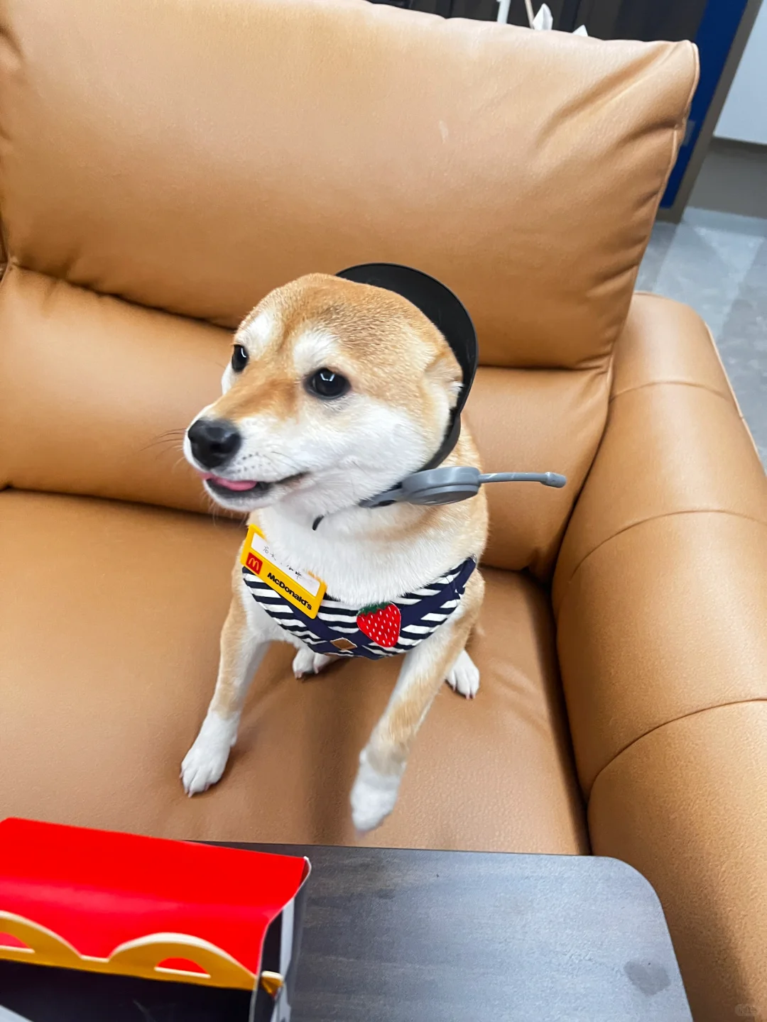 麦当当，举报🙋🏻‍♀️这个店员着装不规范