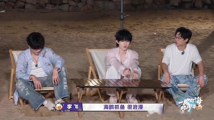 苏新皓模仿海鸥苏新皓海鸥相似度百分百一路向海的少年 苏新皓给李飞讲海鸥抓鱼，越讲