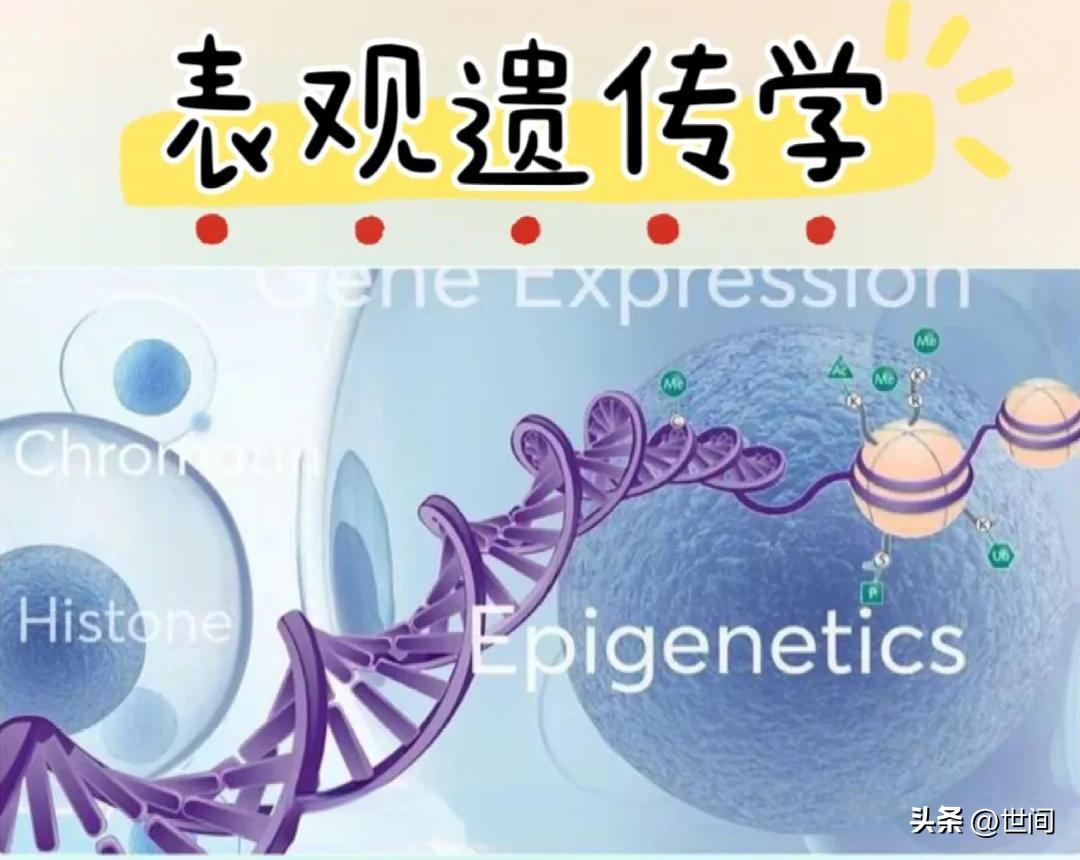 活了大半辈子总结：基因对婚姻幸福感与家族长远兴旺起到决定性作用。日后我儿子择偶娶