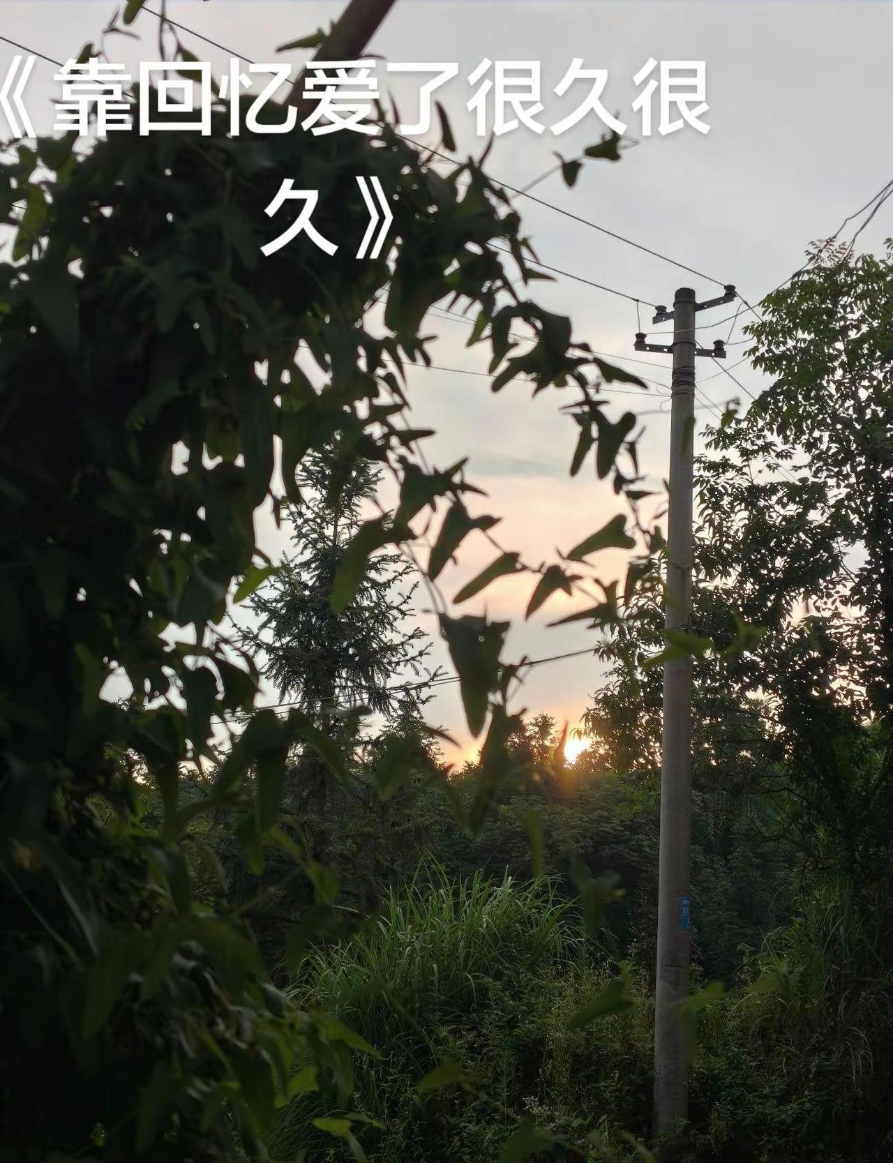 愿我们都能在夕阳最美时，安心欣赏它的绚烂，在黄昏将至时，坦然接受它的落幕，于温柔