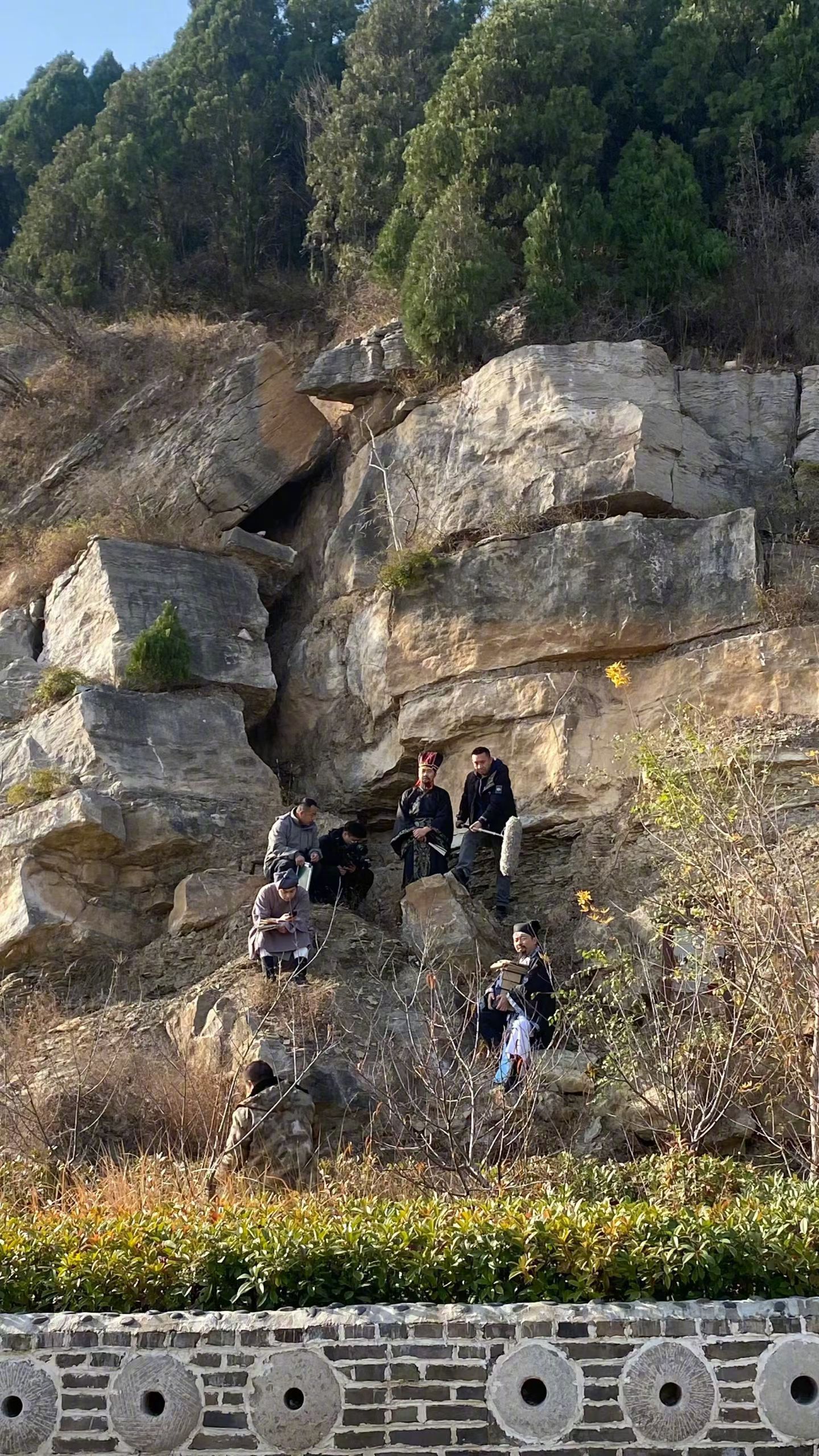 春天来了，我感受到了大自然的召唤生命在于运动朋友们，约三五好友爬山爬山⛰ 