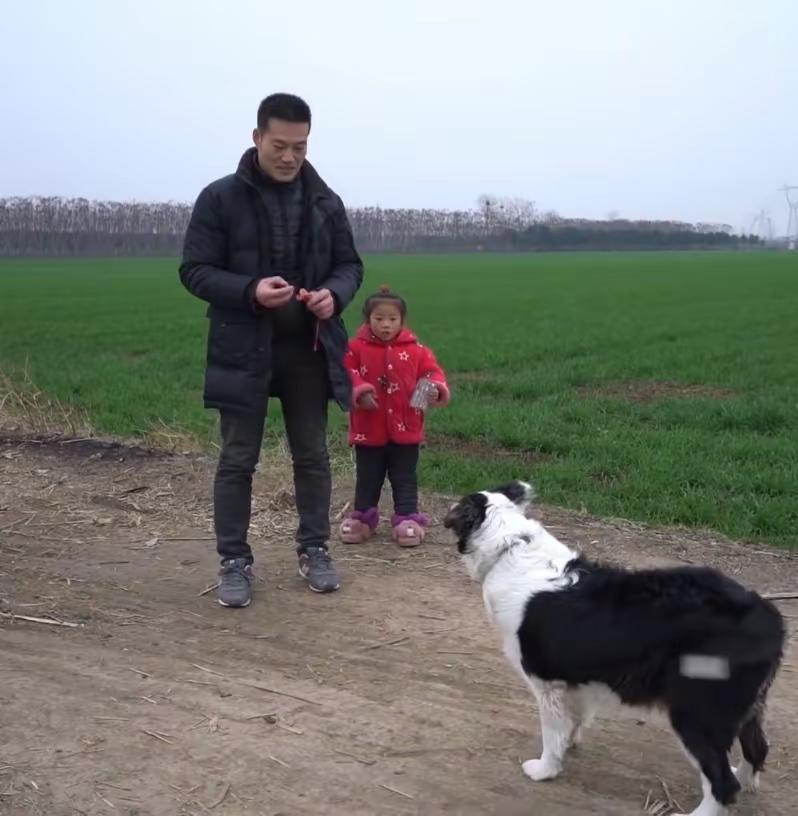 走的每一步都是岁月里的花接下来要更加努力去做好家庭的浇灌者在一个普通的周三跟20
