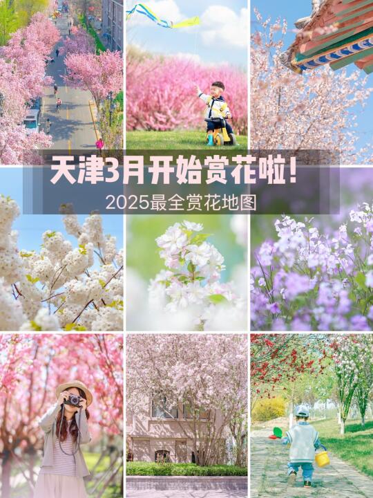 天津赏花合集❗️最后这里99%的人不知道❗️