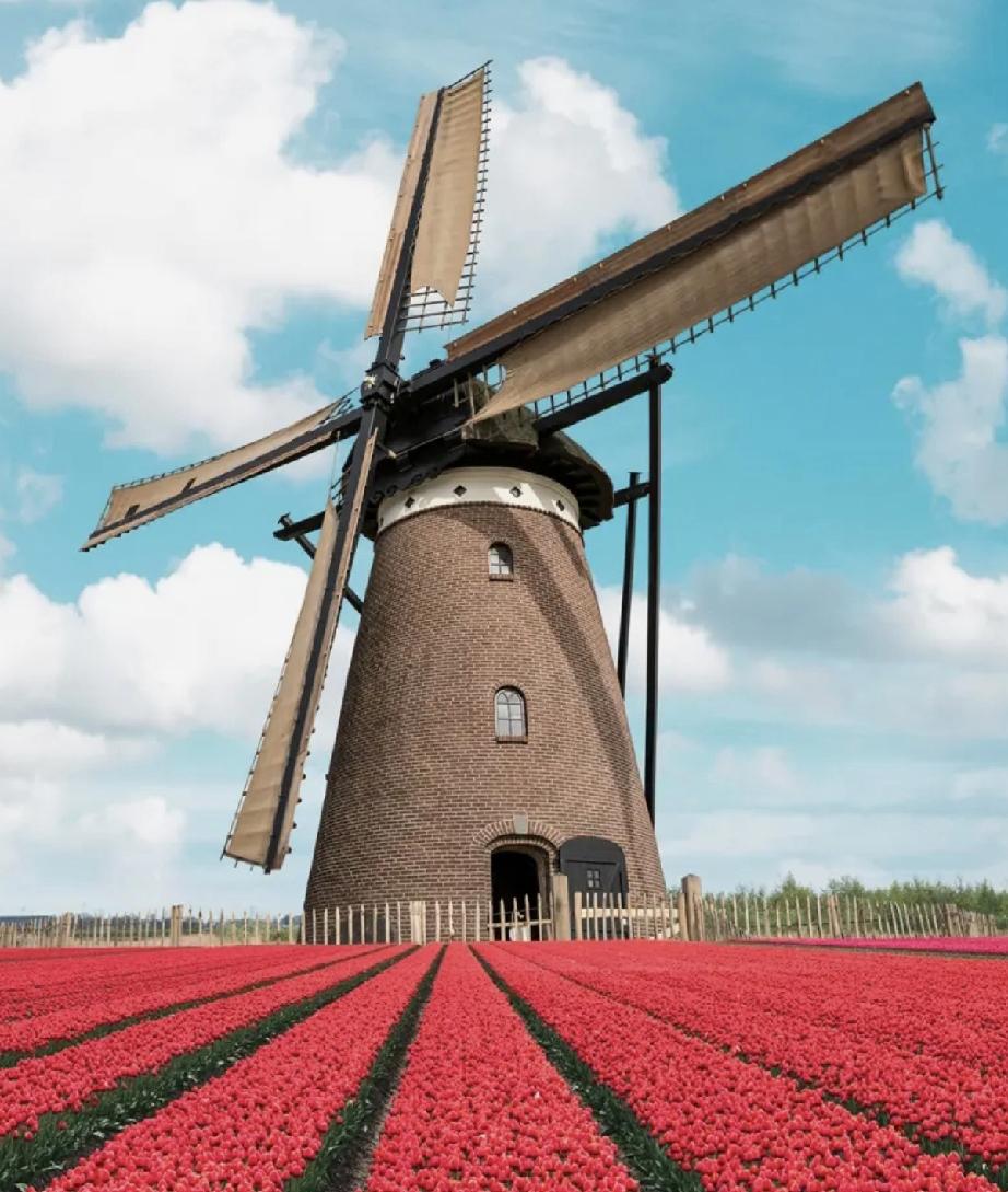 一年级的发育迟缓儿子，成绩一直一般般，不是很差，也不是很好，他们班还有一个多动症