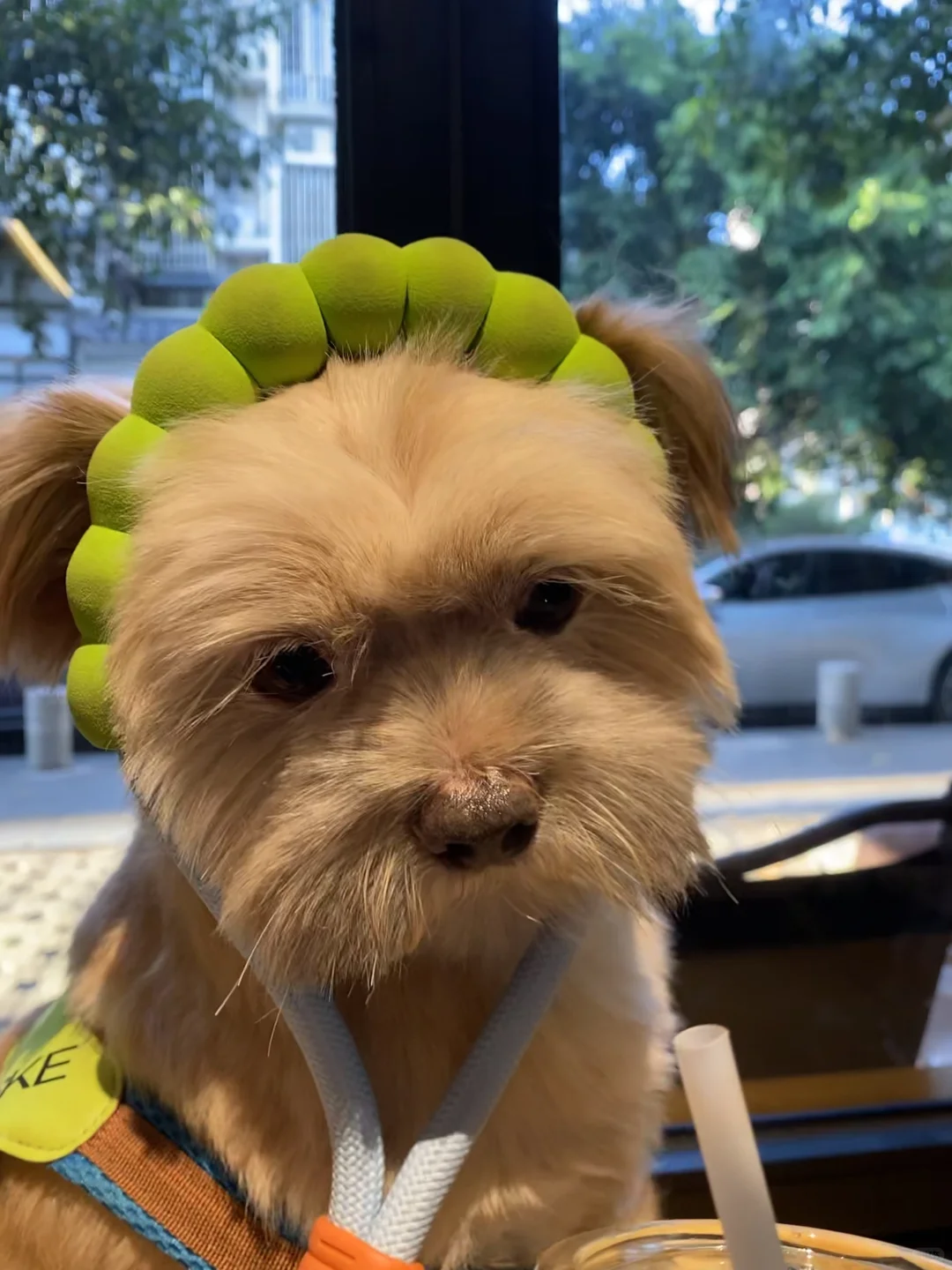 真的不能给我来一口吗