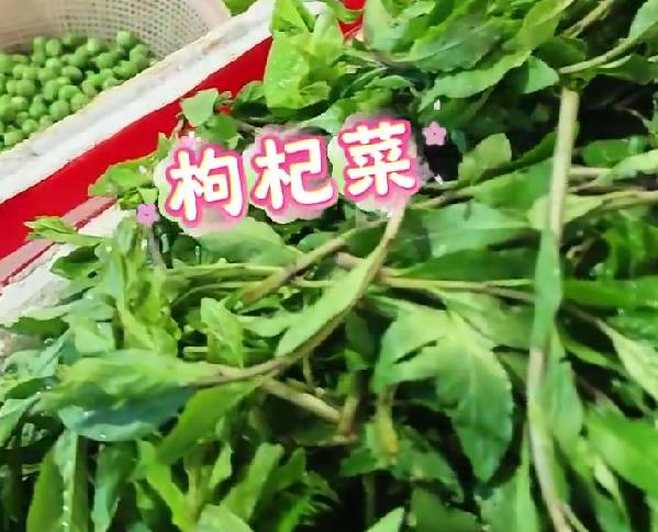 荆州迎来咬春季，解腻又爽口，一口春鲜治愈整个冬天的寡淡
熬过了一整个冬天的油腻，