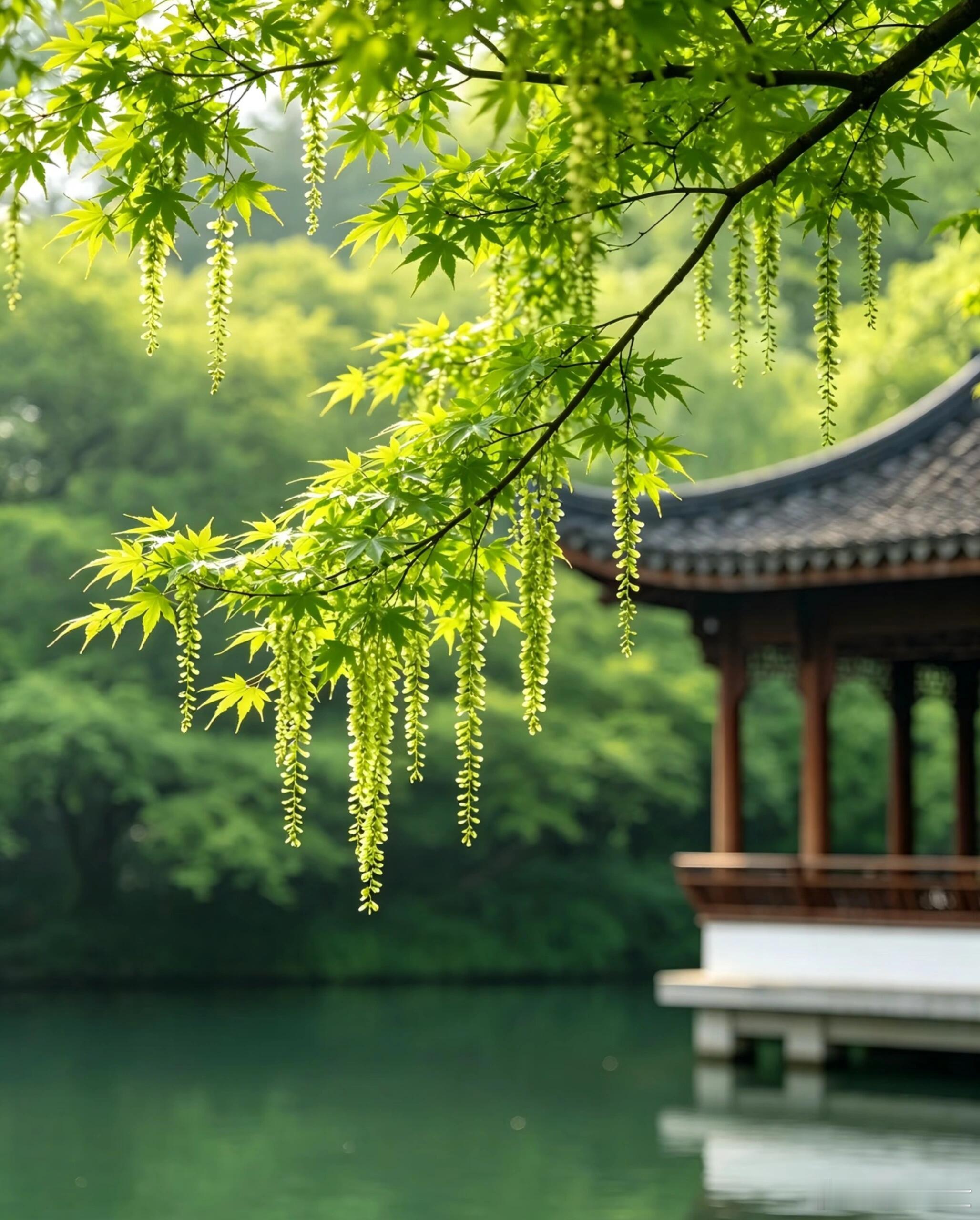 时间最吝啬，只肯给一半。一半春华，一半秋实；一半白昼，一半黑夜；一半酷暑，一半清