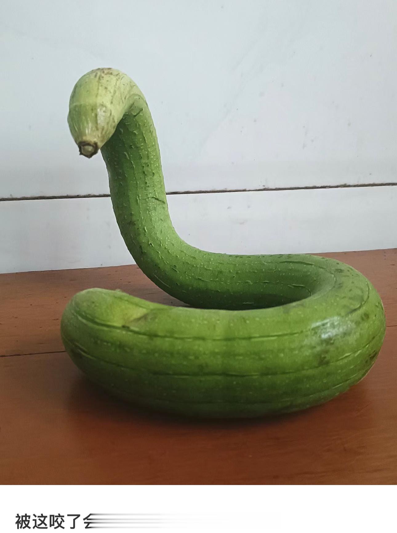 请问如果人被这个咬了一口要去医院挂什么科 ​​​