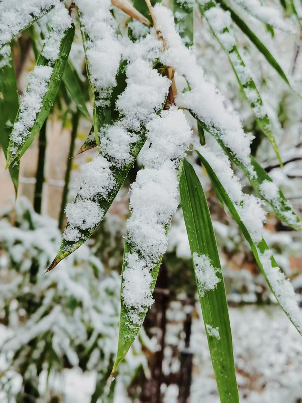 锦上添花易，
雪中送炭难。