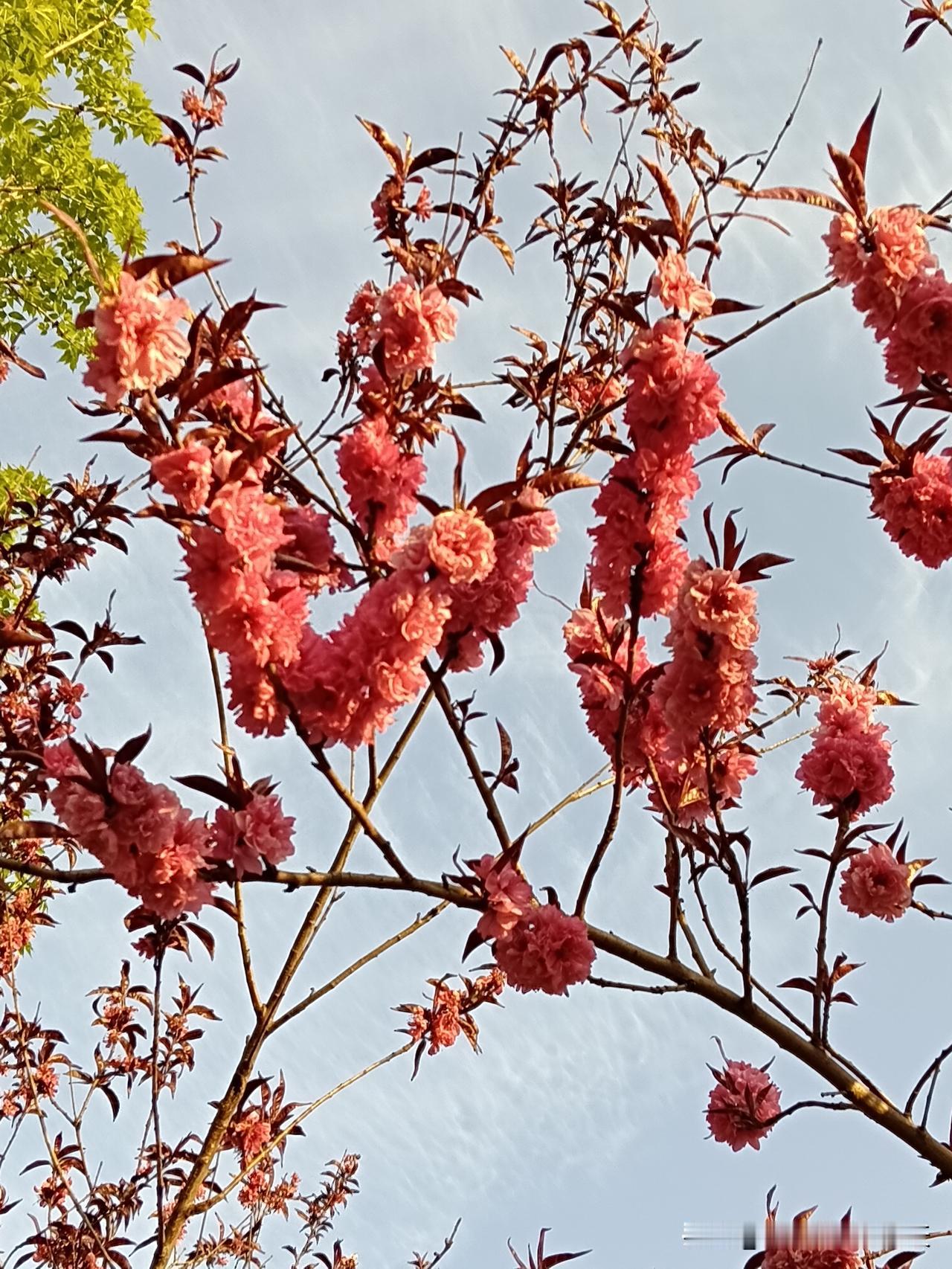 生活中的玄学：
去理发（剪灾）
多出去走走（走运）
拥抱古老的大树（吸收灵气）