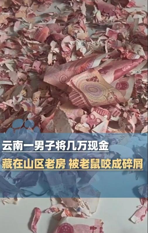 我的个亲娘哎！云南这位大哥的心，怕是碎得比那钱还彻底！
 
几万块现金藏老房，小