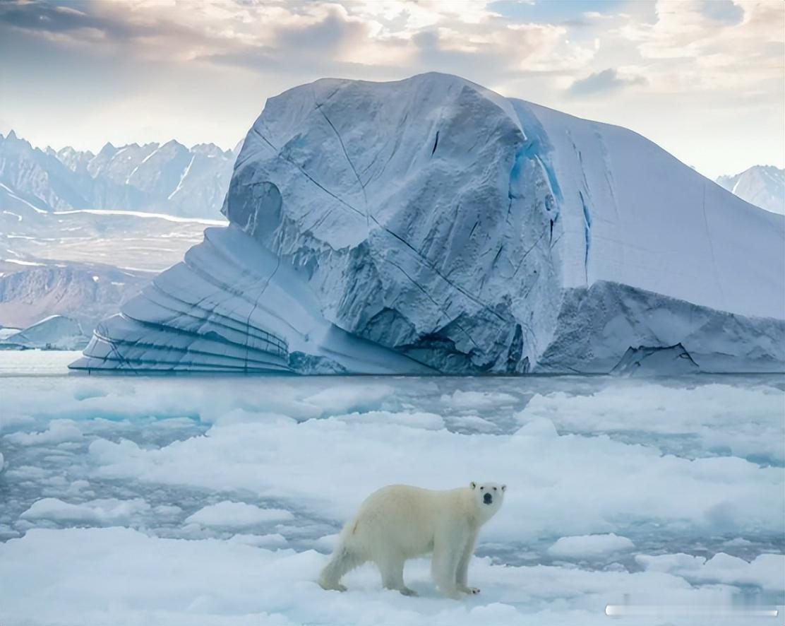 【梦染星河】移动岛屿：全球南极海域最大；冰山A23A的史诗级漂流【内容提要】今天