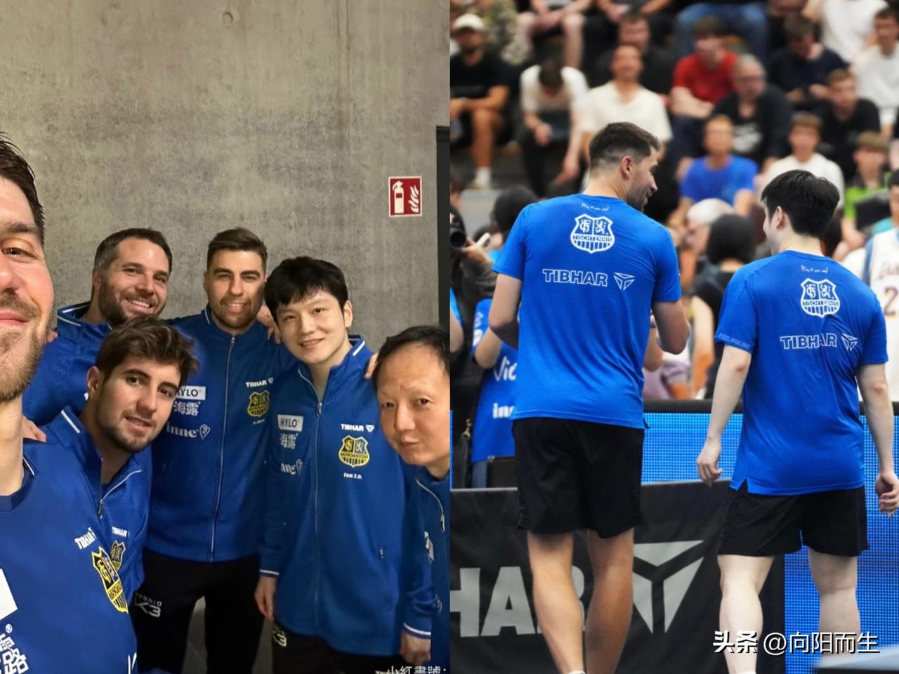 乒乓德甲19轮这赛果，
估计不少一直盯着积分榜的球迷，
都看懵了！

萨尔布吕肯