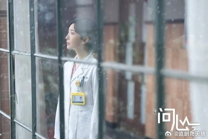 问心2 更29～30集资源赵廷义 毛晓彤 4K⬇️ 