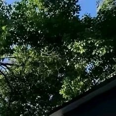 阳光信用 阳光信用 每日一善 踮起脚会缩短爱的距离,这样会不稳定:弯下腰获取平和