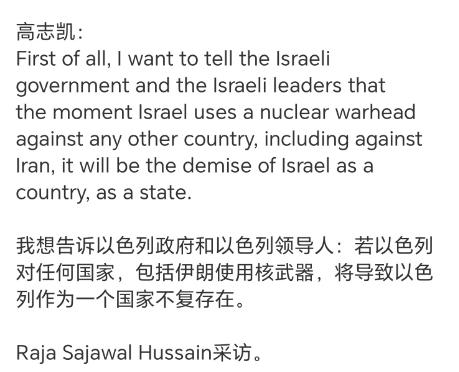 高志凯教授：如果以色列敢动用核武器，那么以色列整个国家都将不复存在。
 
 这句