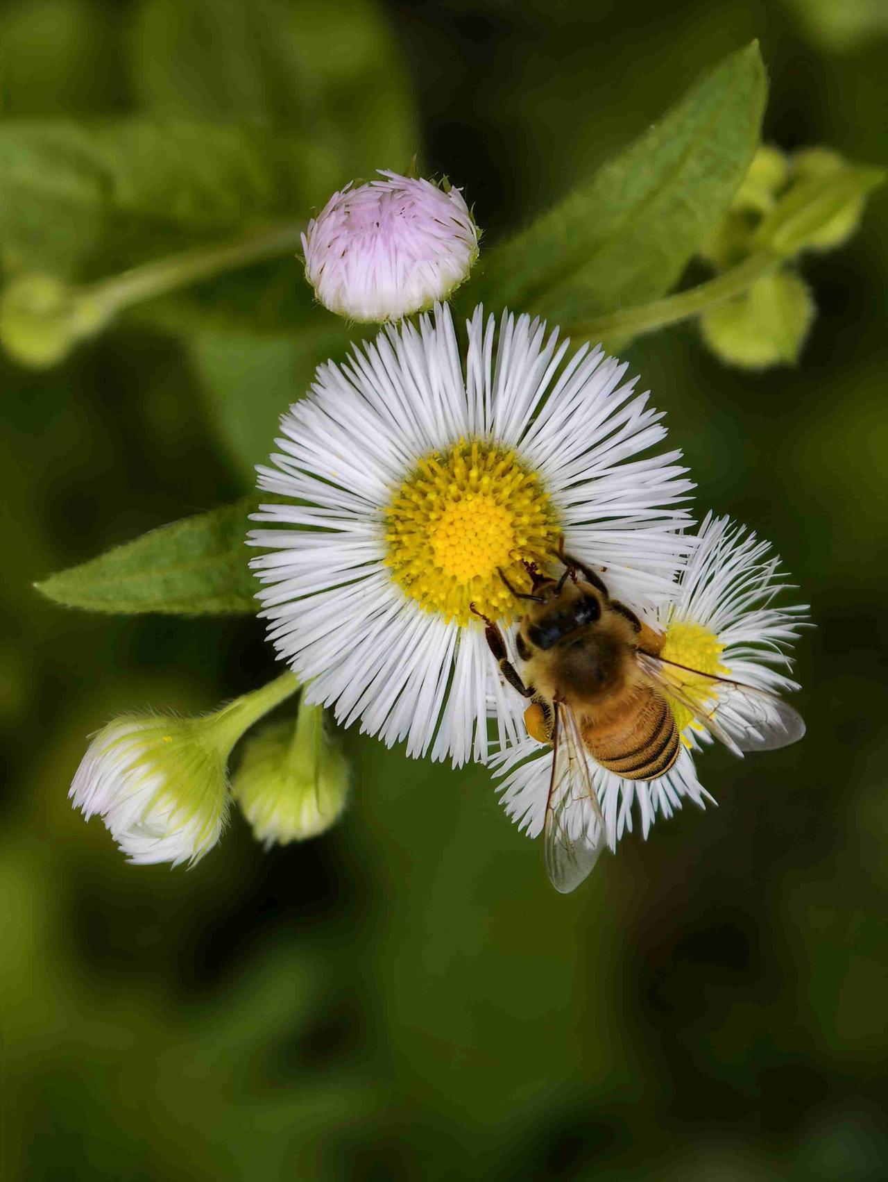 我的今日状态：😁轻松愉快
我这里的天气：🌤️多云