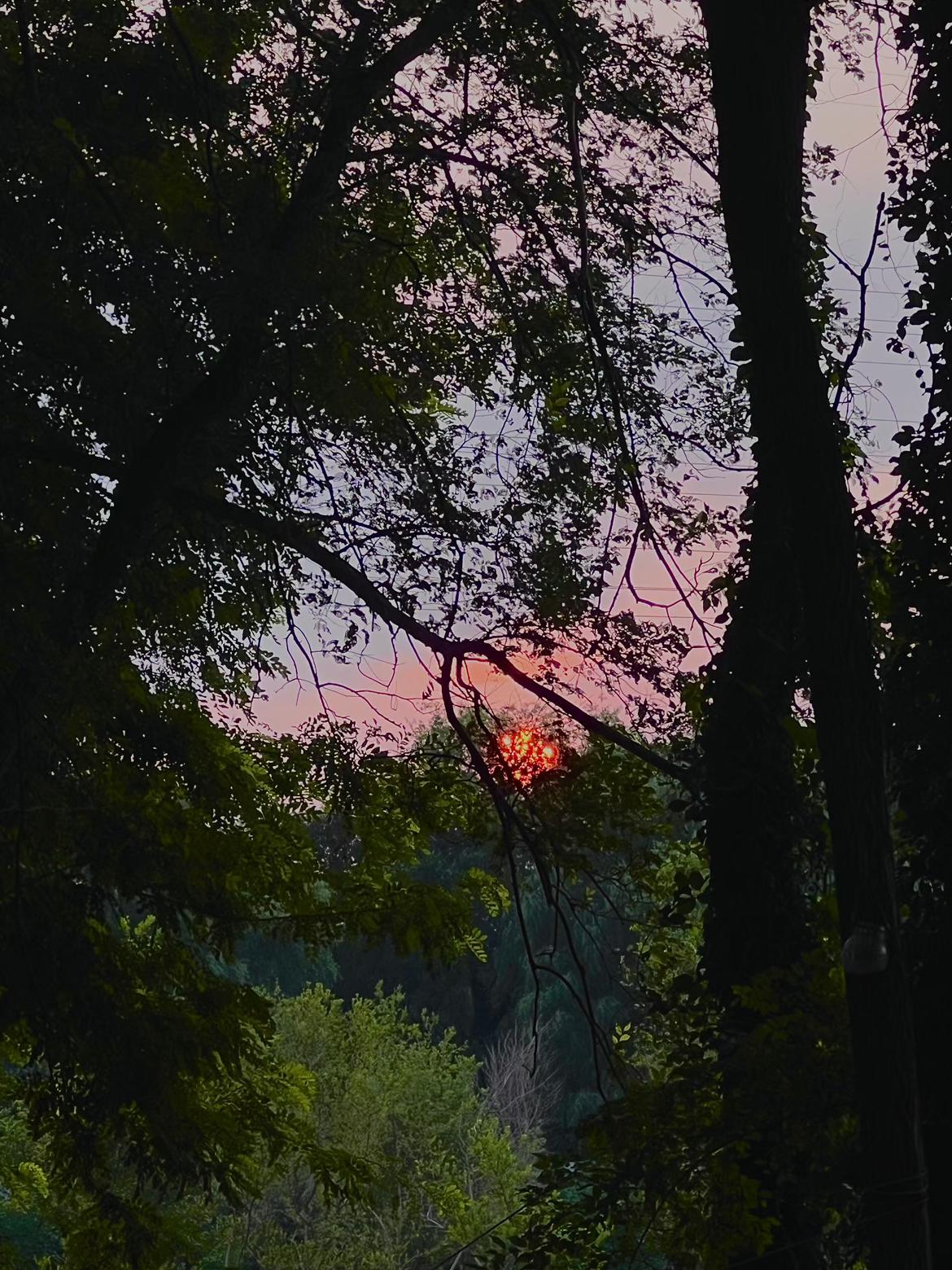 我的今日状态：😁轻松愉快
我这里的天气：☀️晴天