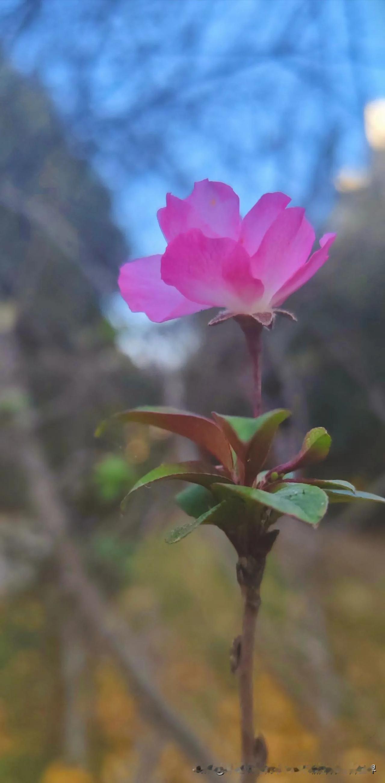 中个大奖，咸鱼翻身，重启人生。
当然这肯定是做白日梦。