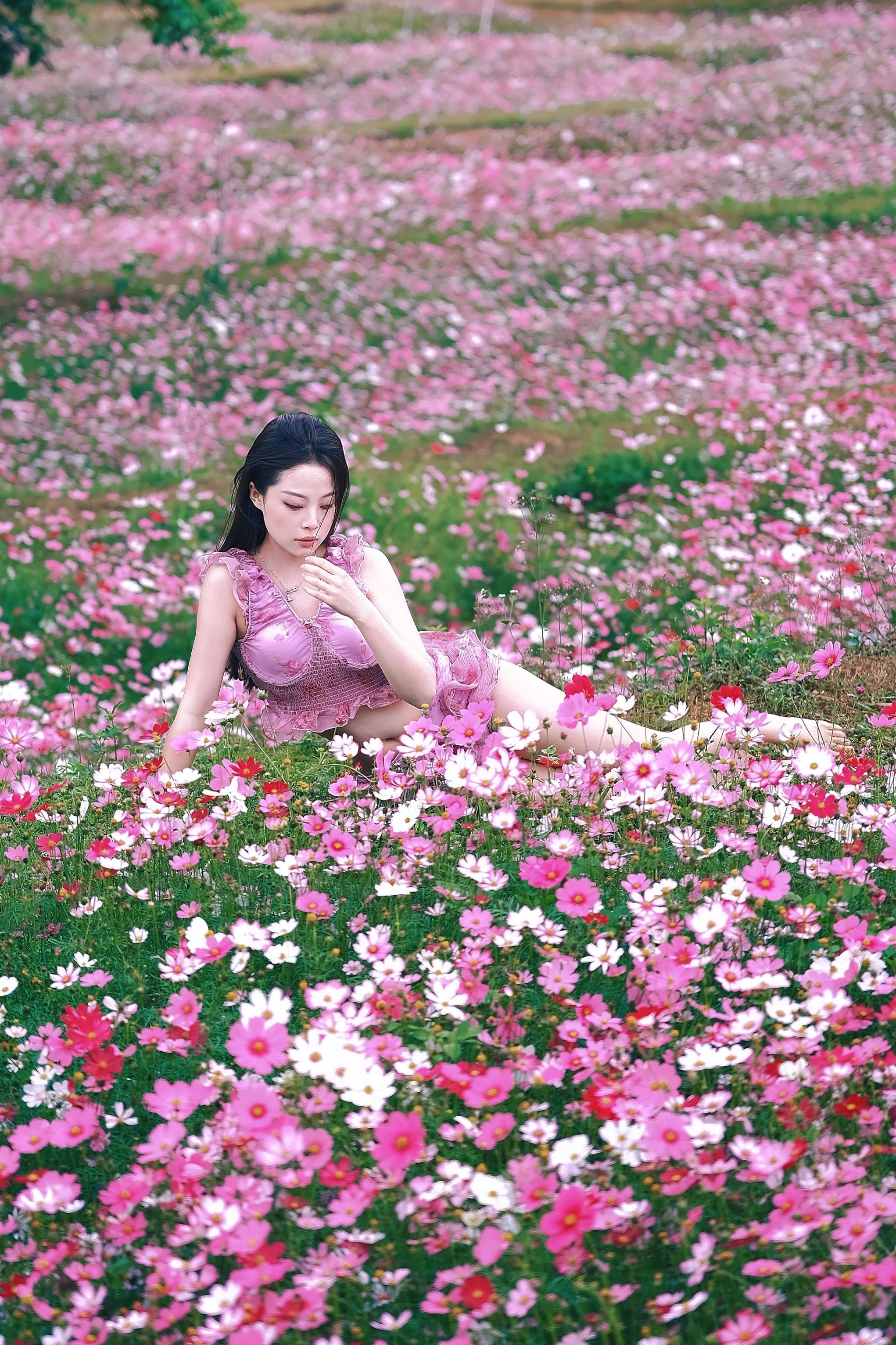 来拍照了 格桑花