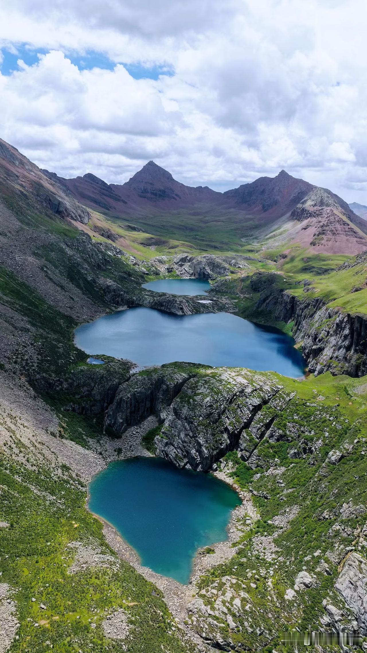 生命的力量
傍晚回家时，特意弯进路旁的假山和一小块湿地，湿地里的芦苇蹿得很高，叶