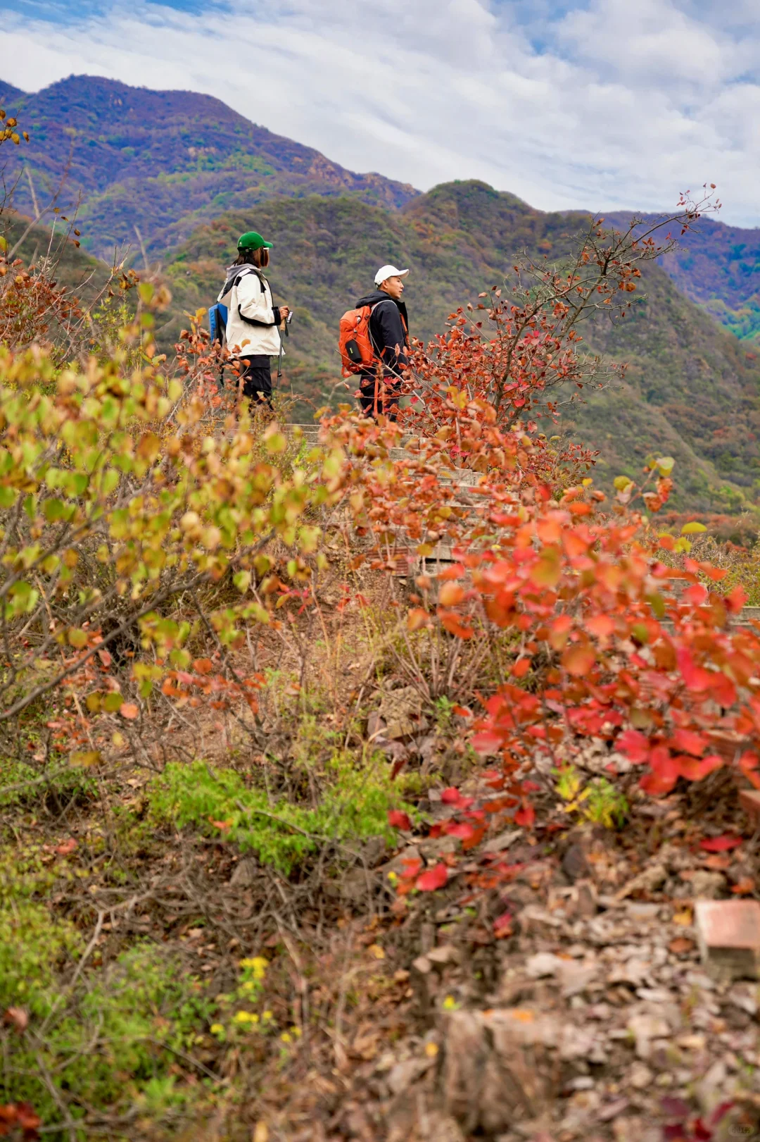 10.24实拍🍁近郊免费彩叶步道📍定位不私藏